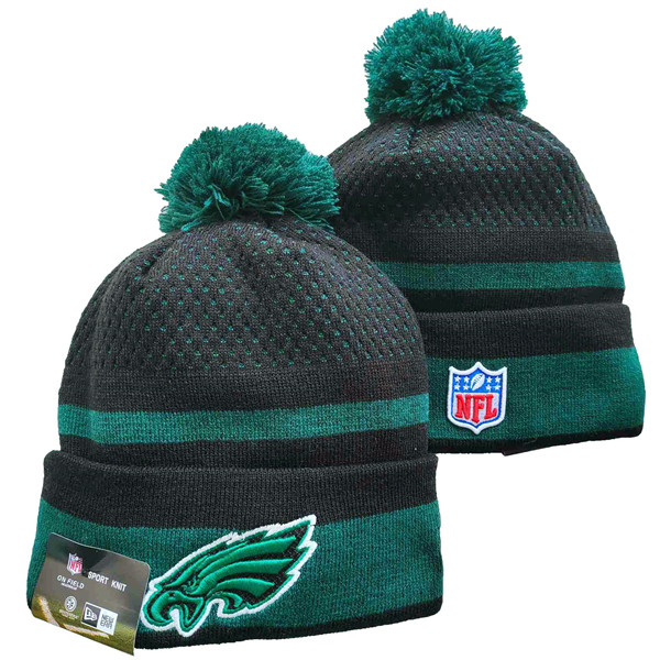 Philadelphia Eagles Knit Hats 064